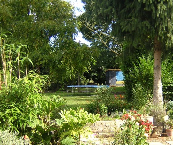 The garden from the house end